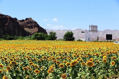 《赛博朋克2077》下周继续更新 解决常见bug