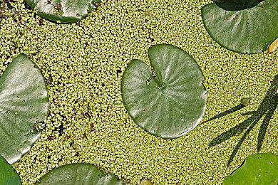 V社对Steam账户换区进行限制：每3个月才可变更一次