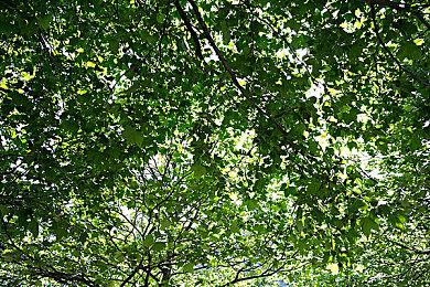 《来自深渊：朝向黑暗的双星》成长篇预告 游戏9月发售